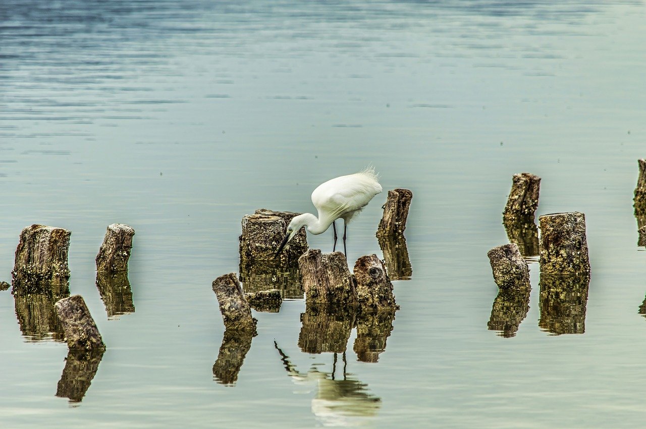 The Secret Lagoons of Mexico’s Holbox Island